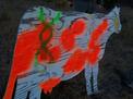 Genodix cow
