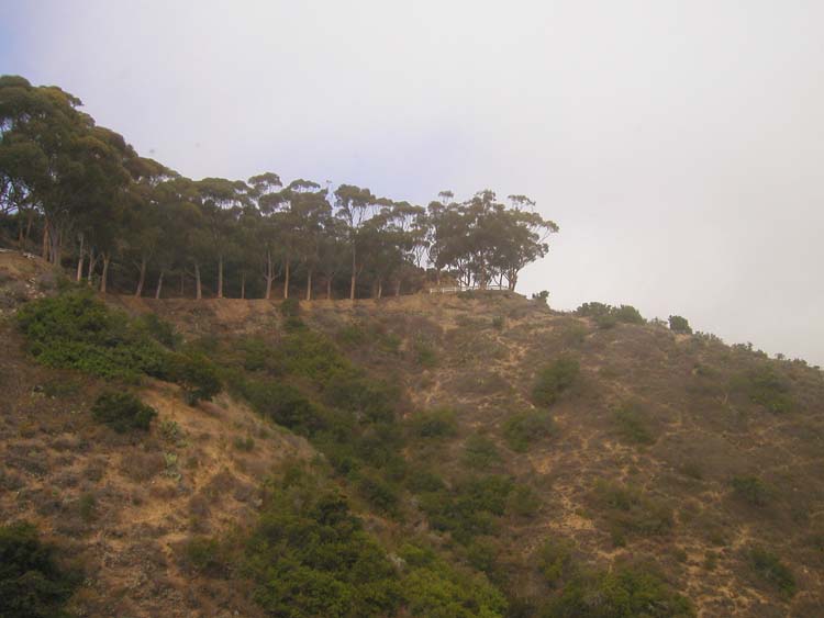 2003100712180