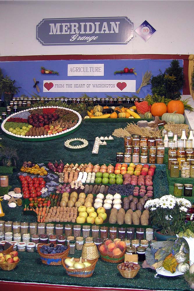 2003090912341
