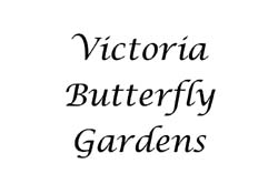02-ButterflyGarden