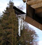 6Icicle3-17-02