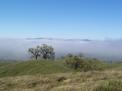 Morning low clouds