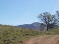 Lick Observatory