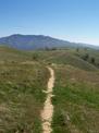 Antler Point Spur