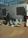 Giant chess