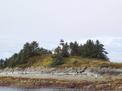 Guard Island light