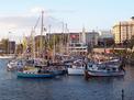 Boats in Victoria Harbor