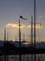 Masts and pennant at sunset