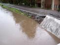 Permanente Creek near the levy