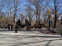 Horse-drawn carriage in Central Park