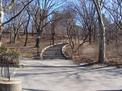 Disappearing stairs in Central Park