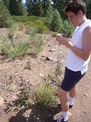 Ian inspecting a thistle