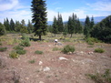 Ian looking for salamanders